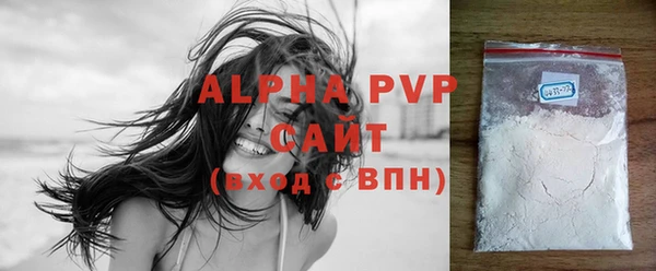 гашик Алексин