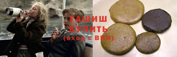 гашик Алексин