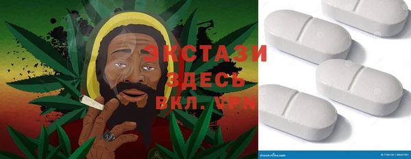гашик Алексин