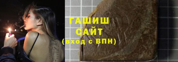 гашик Алексин