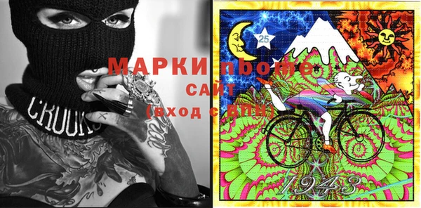 гашик Алексин