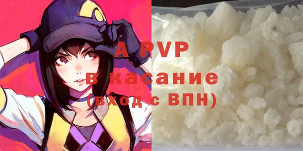 СК Осинники