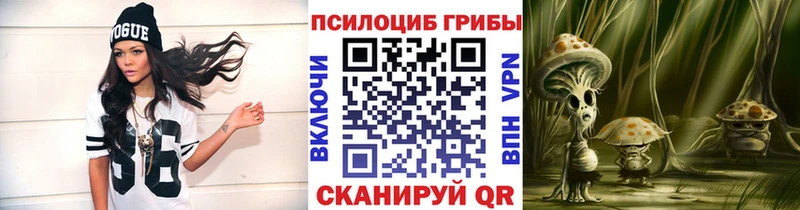 даркнет сайт  Бавлы  Галлюциногенные грибы мухоморы 